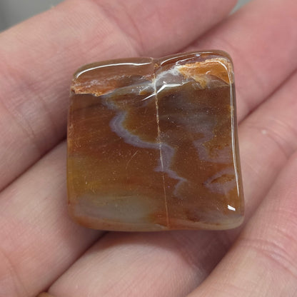 Petrified wood tumble
