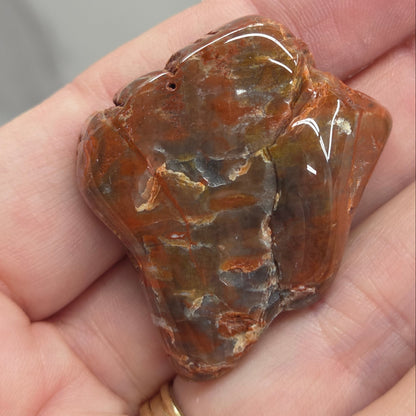 Petrified wood tumble