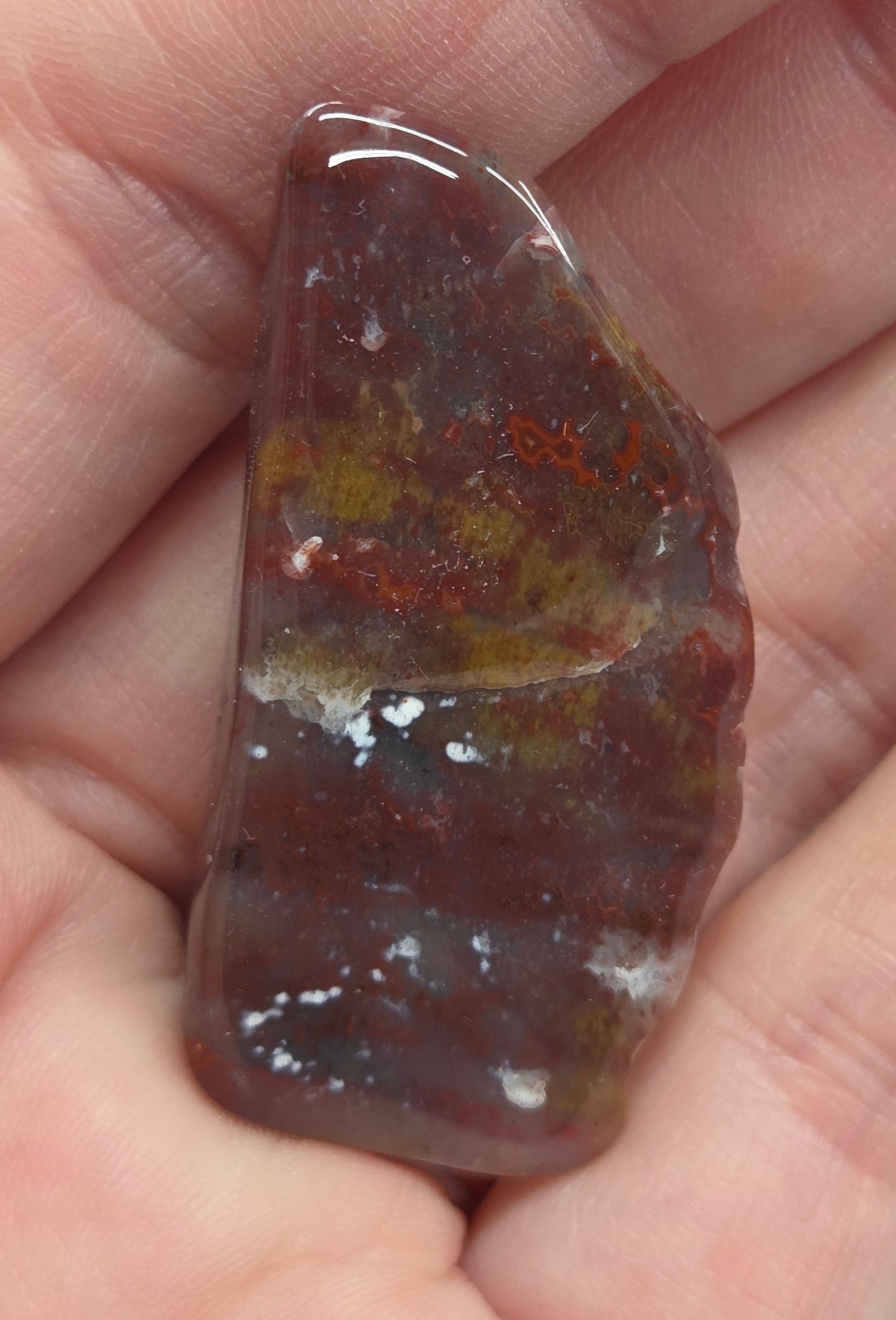 Petrified wood tumble