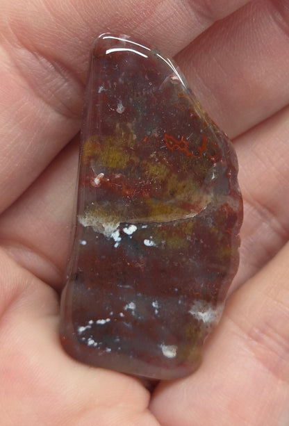 Petrified wood tumble