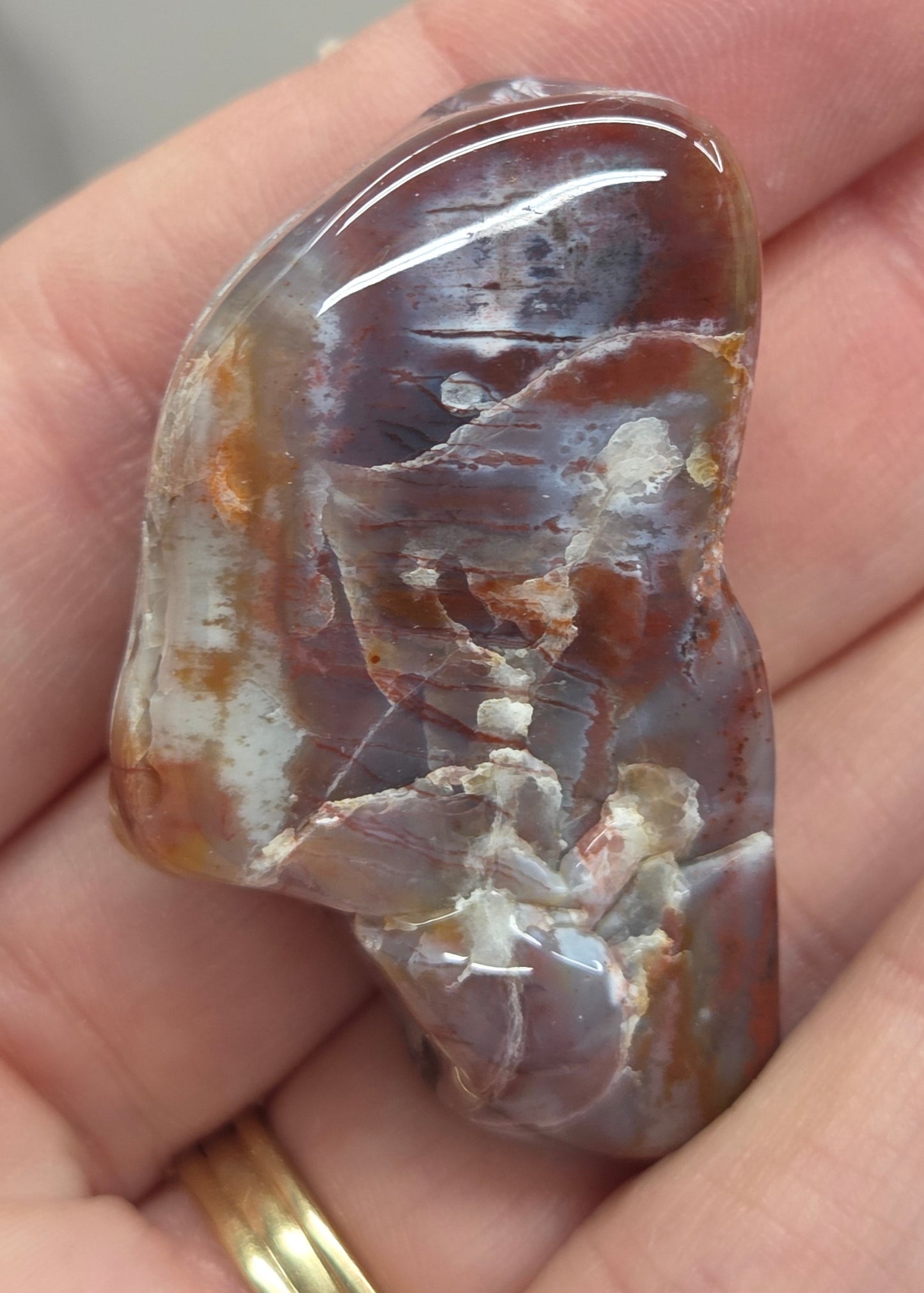 Petrified wood tumble