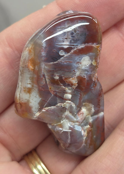 Petrified wood tumble