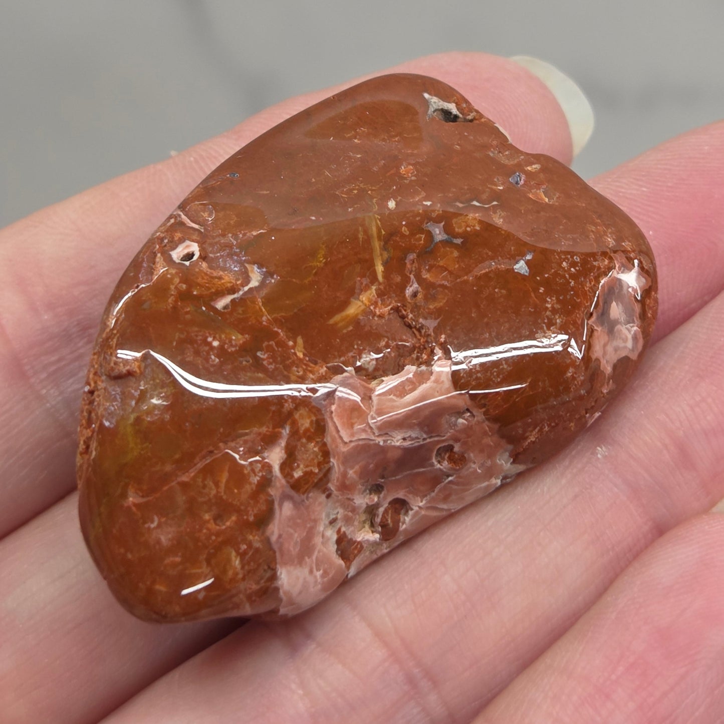 Petrified wood tumble