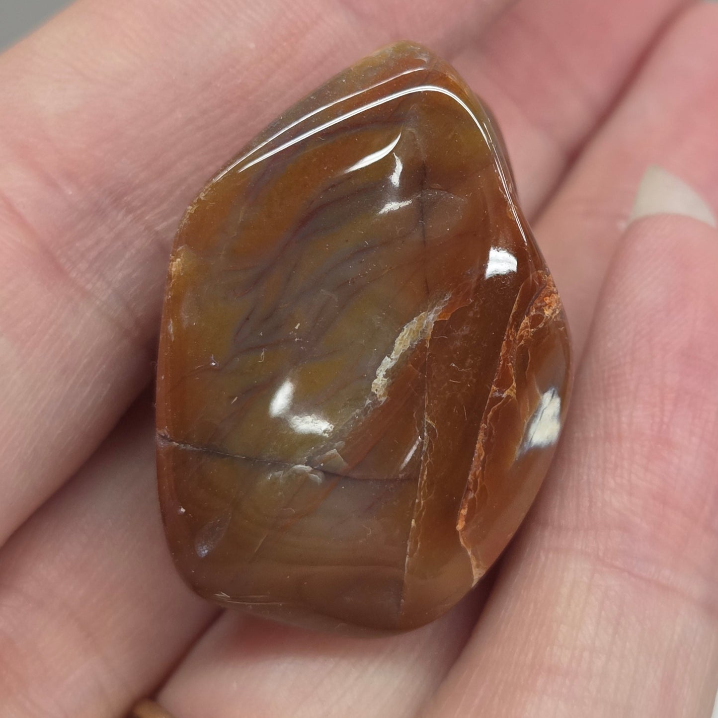 Petrified wood tumble