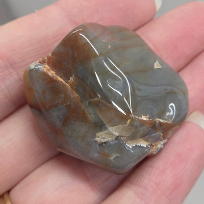 Petrified wood tumble