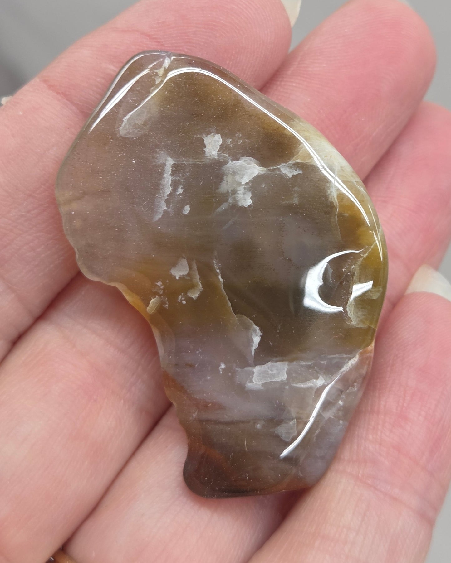 Petrified wood tumble