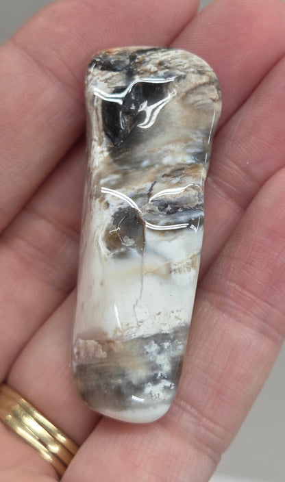 Petrified wood tumble