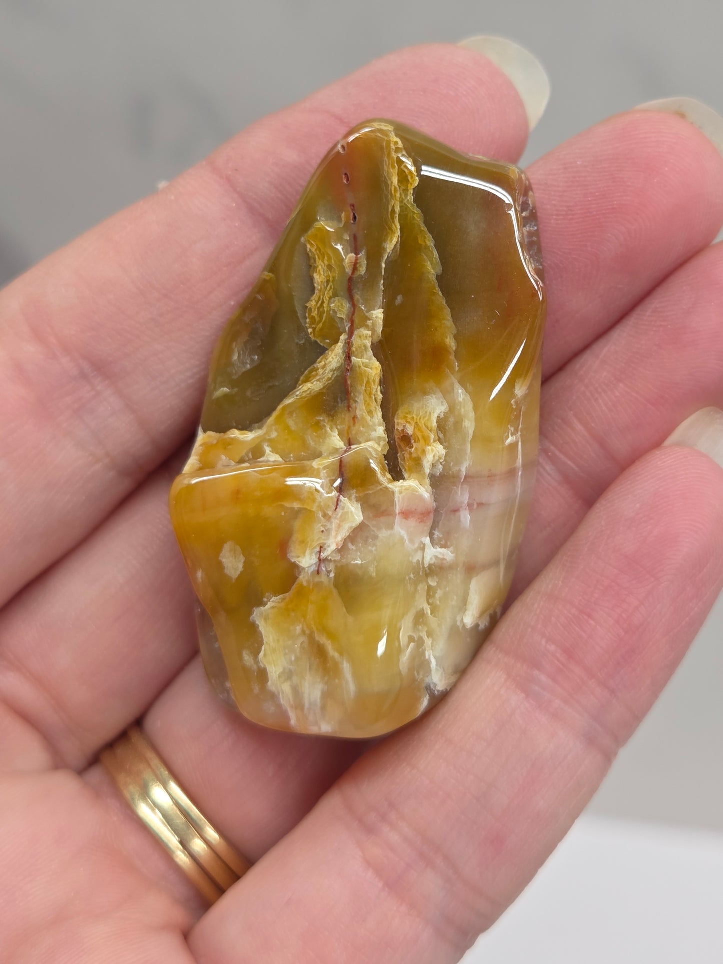 Petrified wood tumble