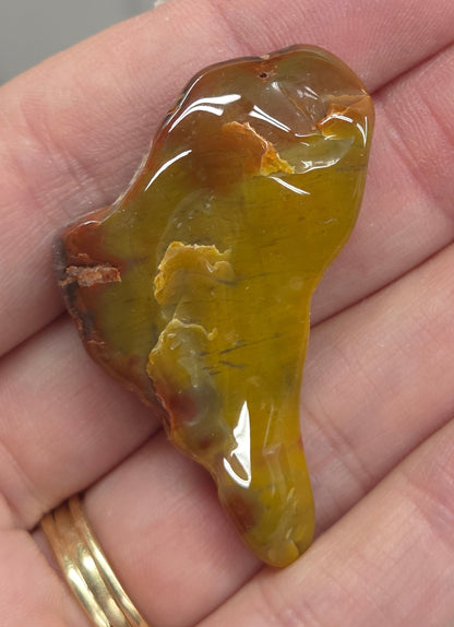 Petrified wood tumble