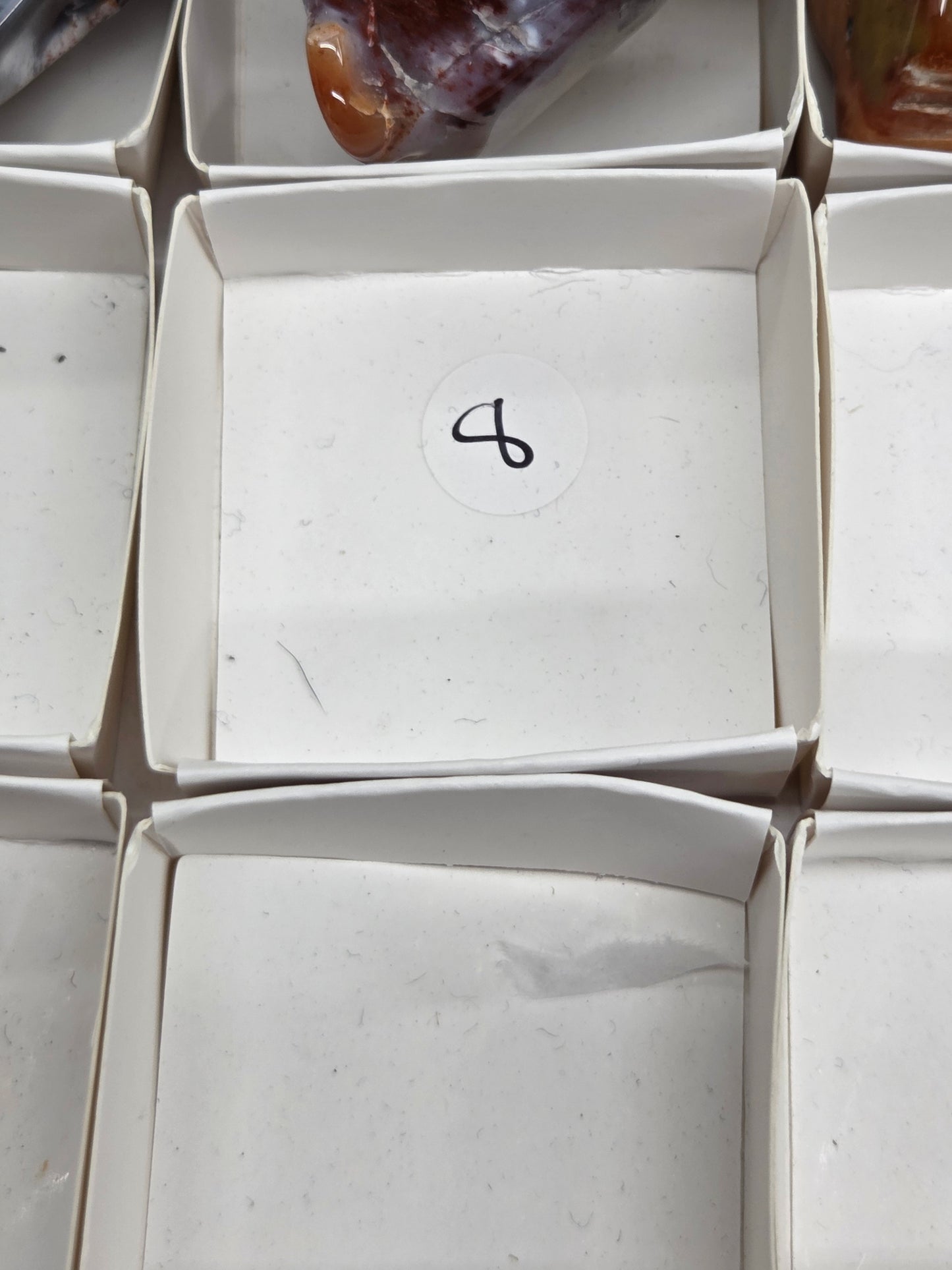 Petrified wood tumble