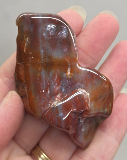 Petrified wood tumble