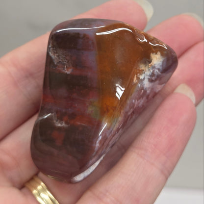 Petrified wood tumble