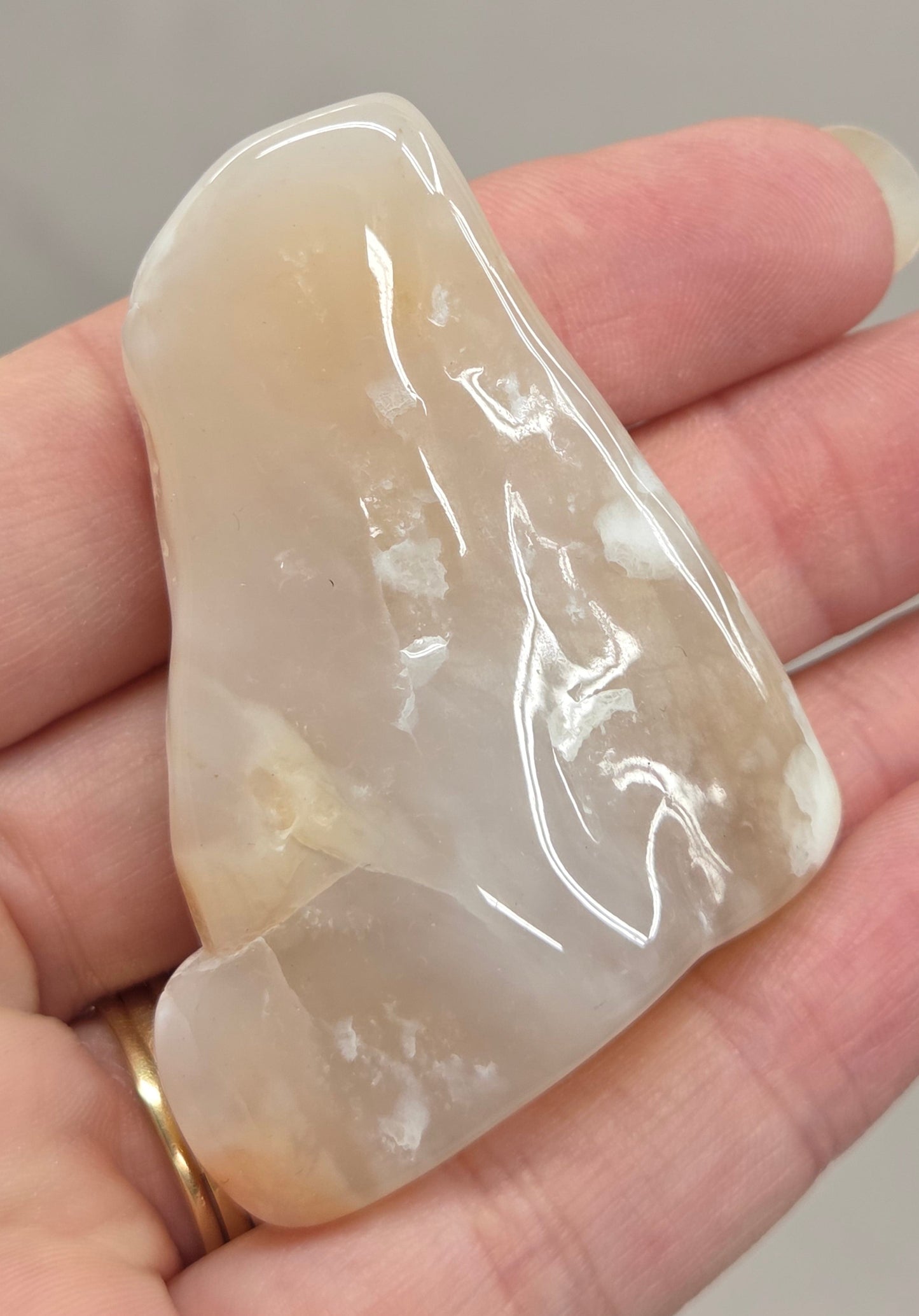 Petrified wood tumble