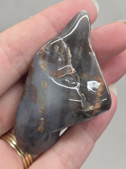 Petrified wood tumble