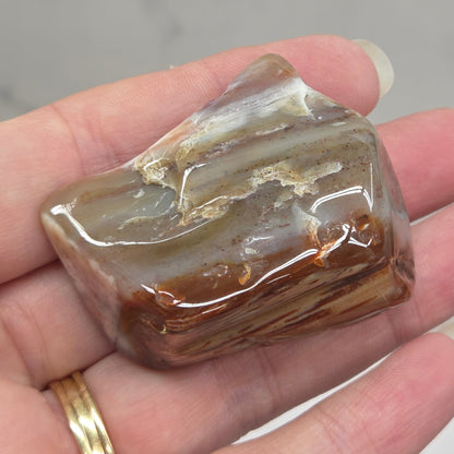 Petrified wood tumble
