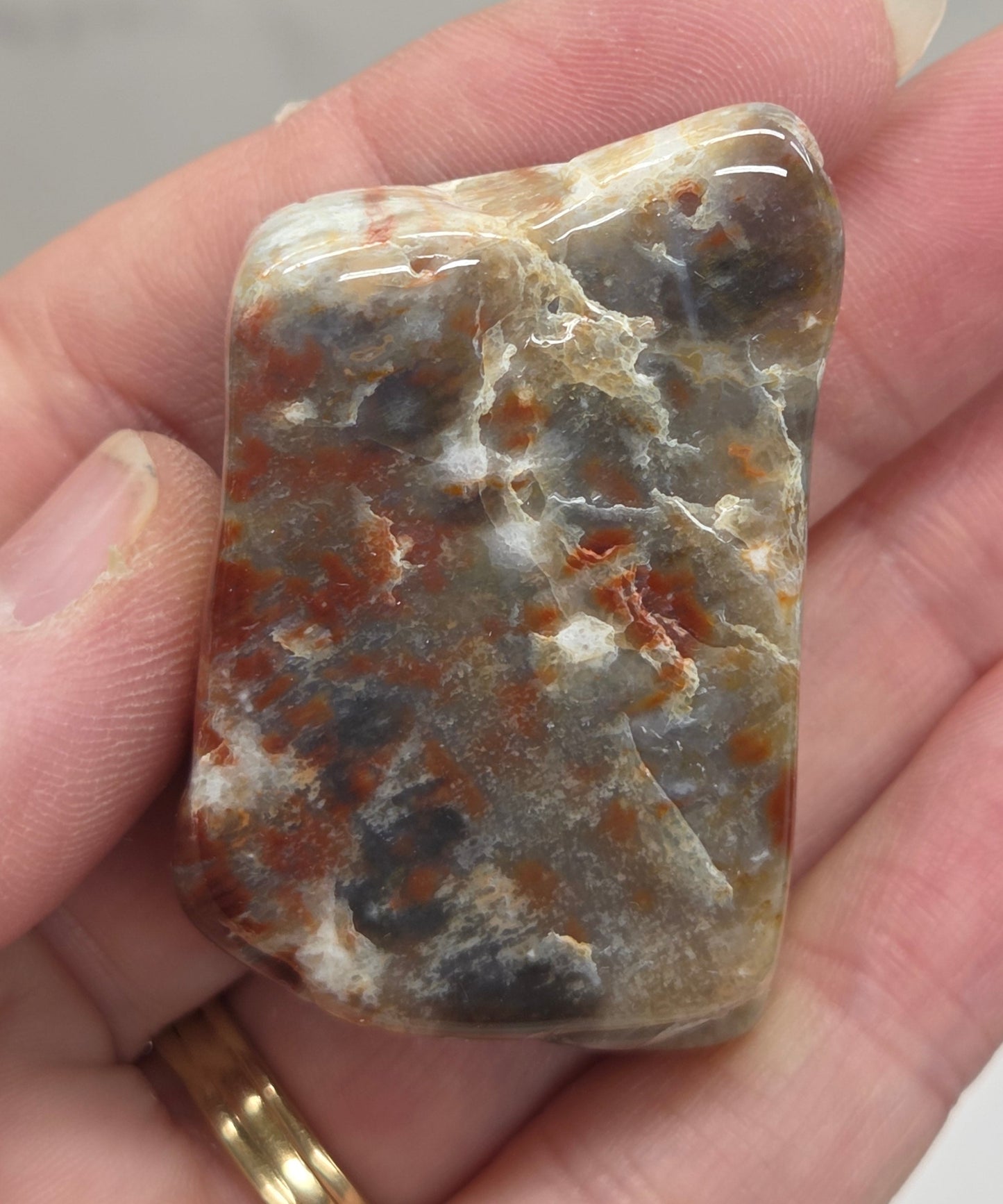 Petrified wood tumble