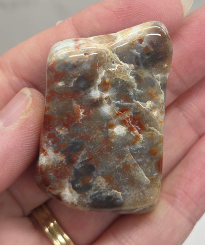 Petrified wood tumble