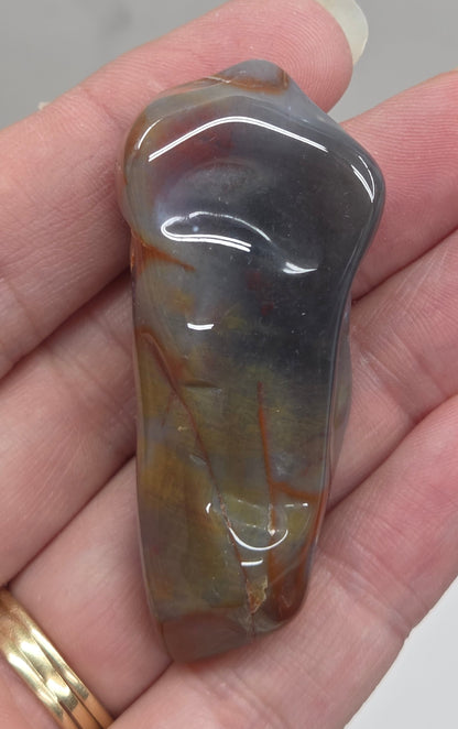 Petrified wood tumble