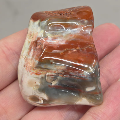 Petrified wood tumble