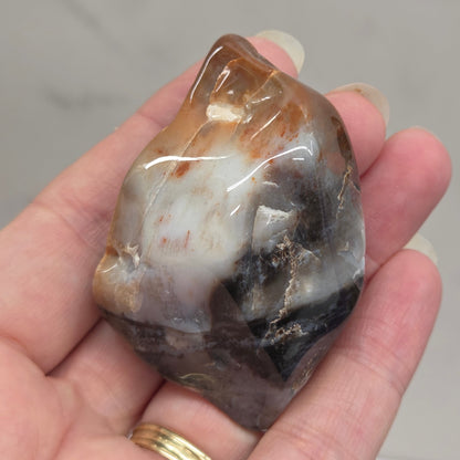 Petrified wood tumble