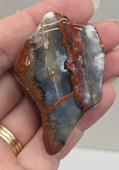 Petrified wood tumble