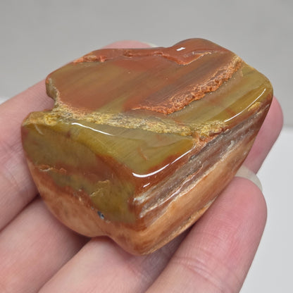 Petrified wood tumble