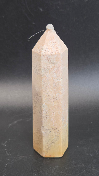 Fossil Coral Jasper tower