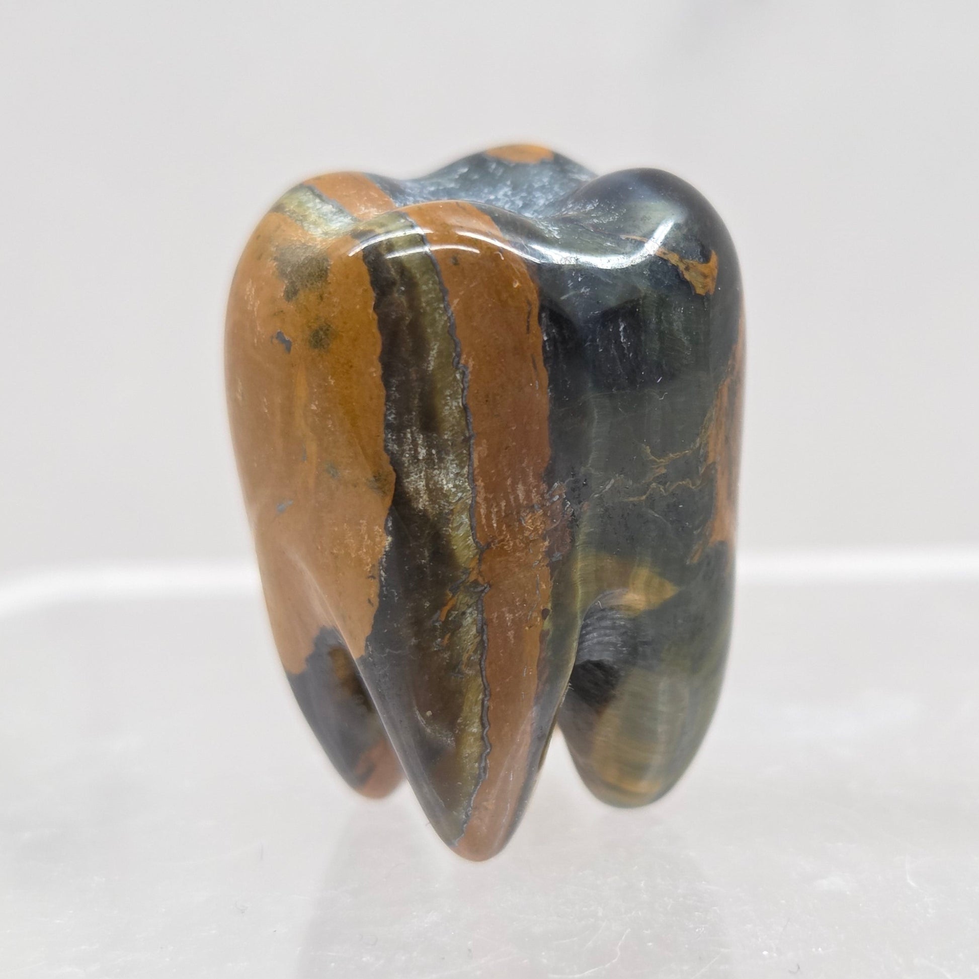 Blue Tigers Eye tooth on a white background