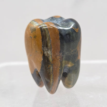 Blue Tigers Eye tooth on a white background