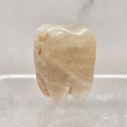 Moonstone tooth on a white background