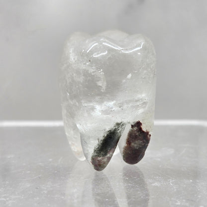 Garden Quartz tooth on a white background
