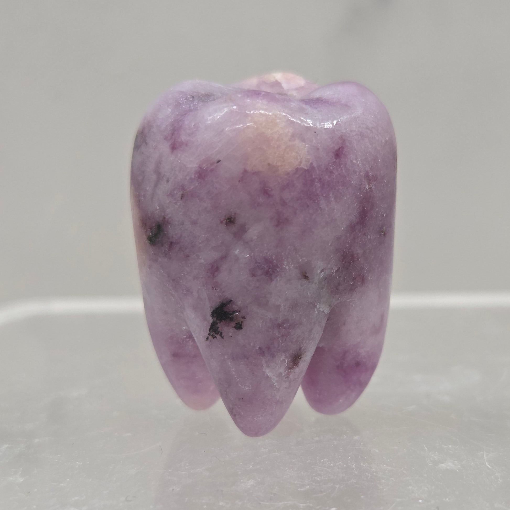 Lepidolite tooth on a white background