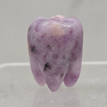 Lepidolite tooth on a white background