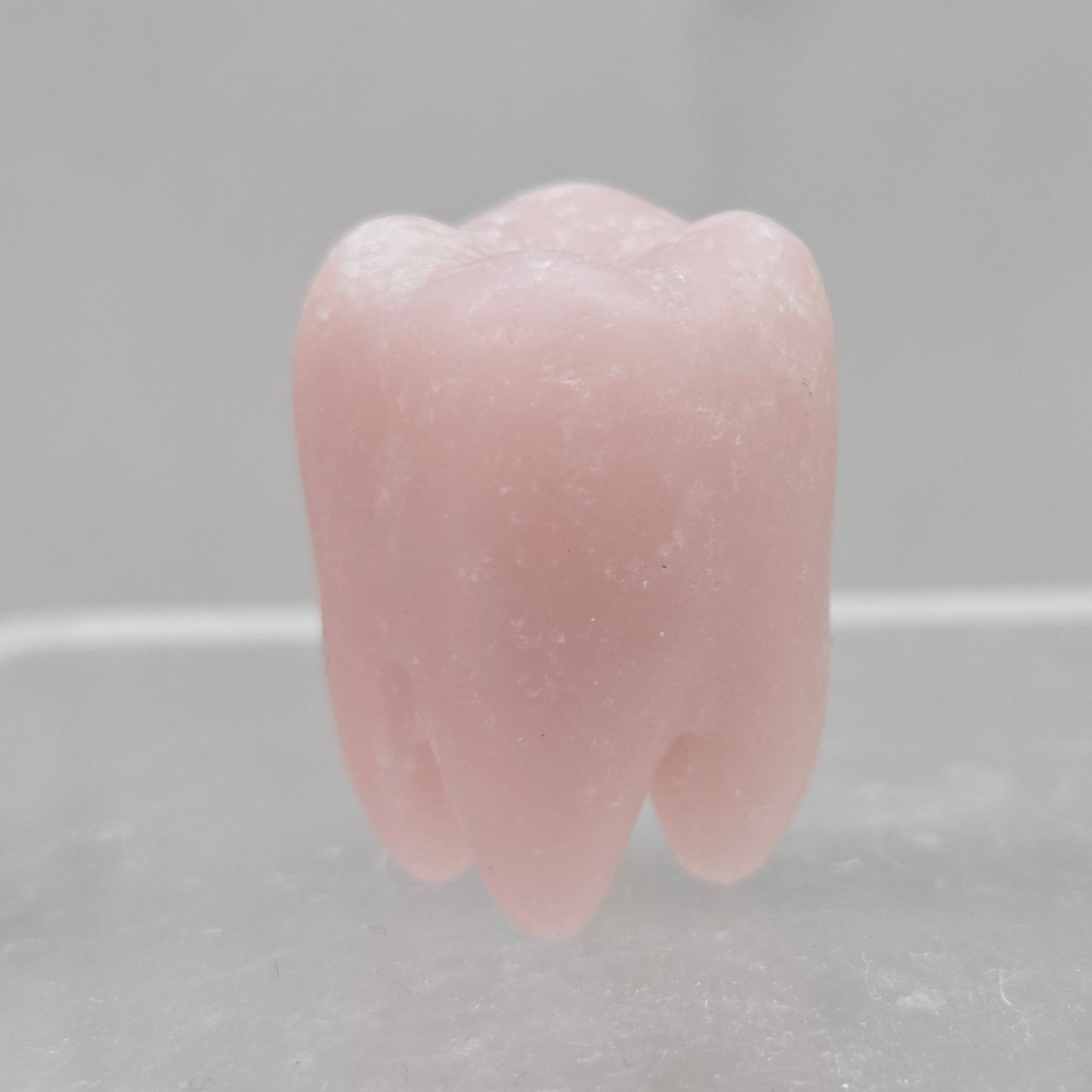 Pink Opal tooth on a white background