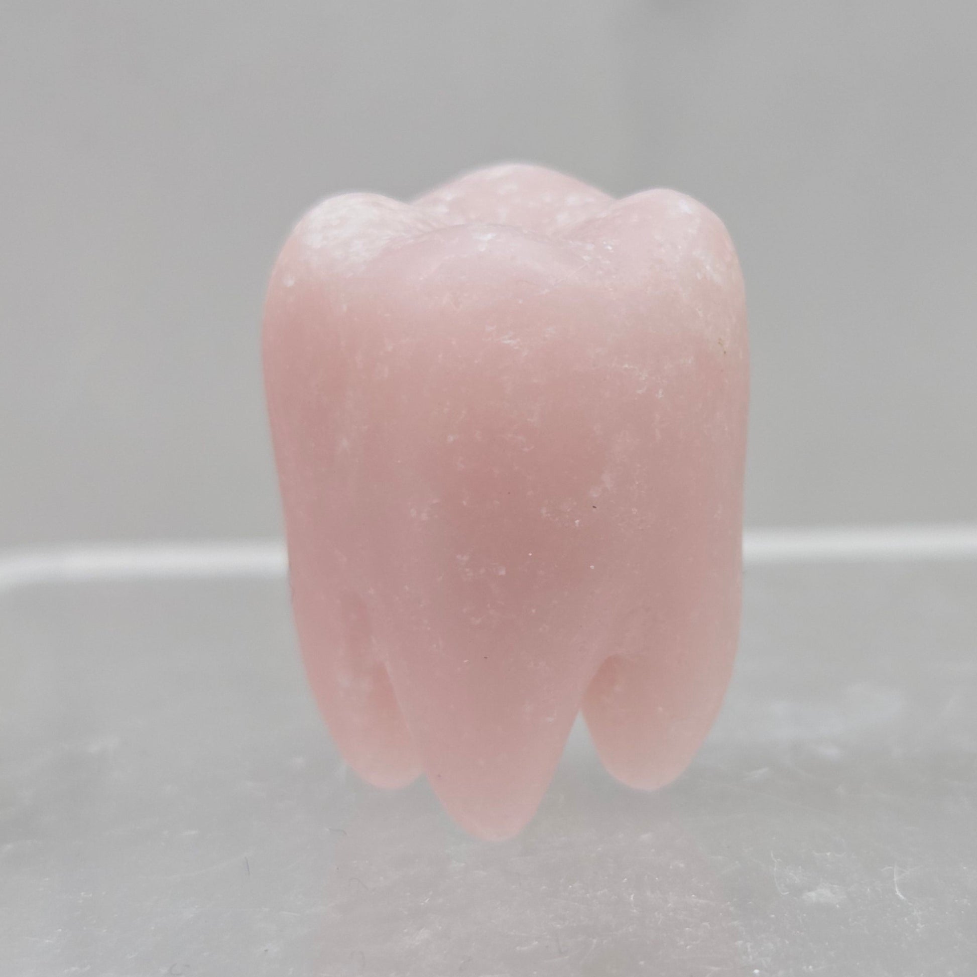 Pink Opal tooth on a white background