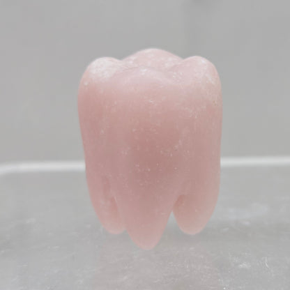 Pink Opal tooth on a white background