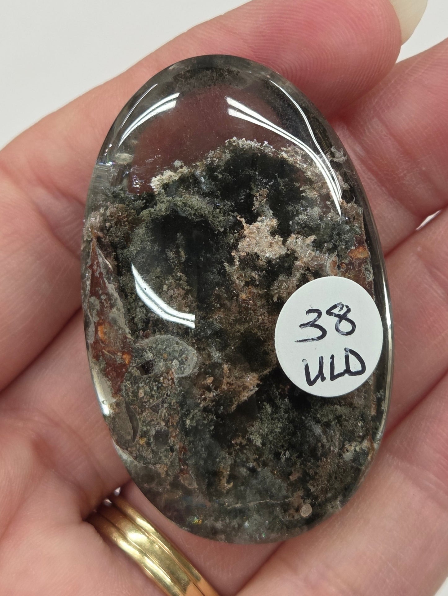 Palm - Garden Quartz