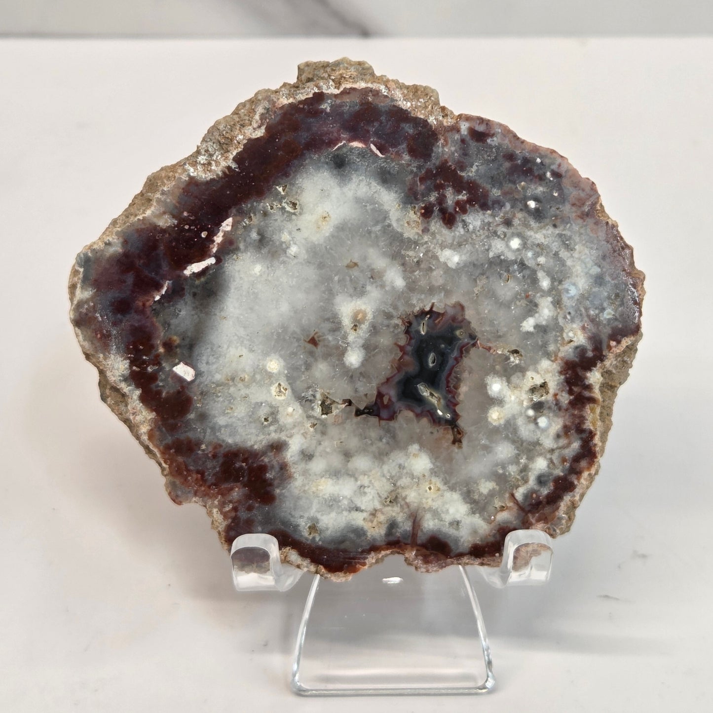A slab of petrified wood displayed on a stand, with a brown and gray color palette.