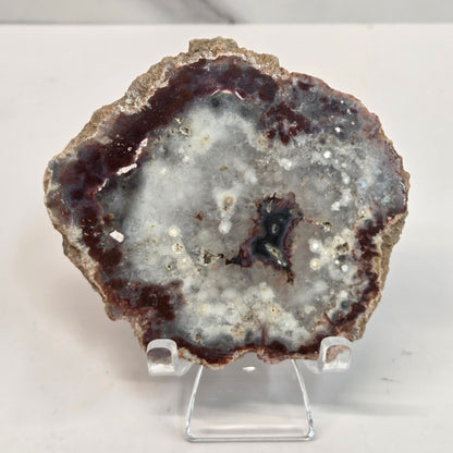 A slab of petrified wood displayed on a stand, with a brown and gray color palette.
