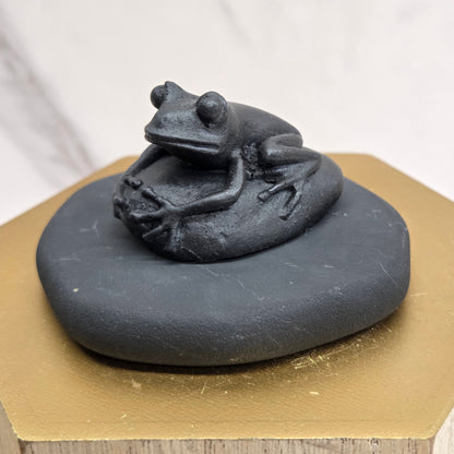Black shungite frog carving sitting on a rock on a gold and white background