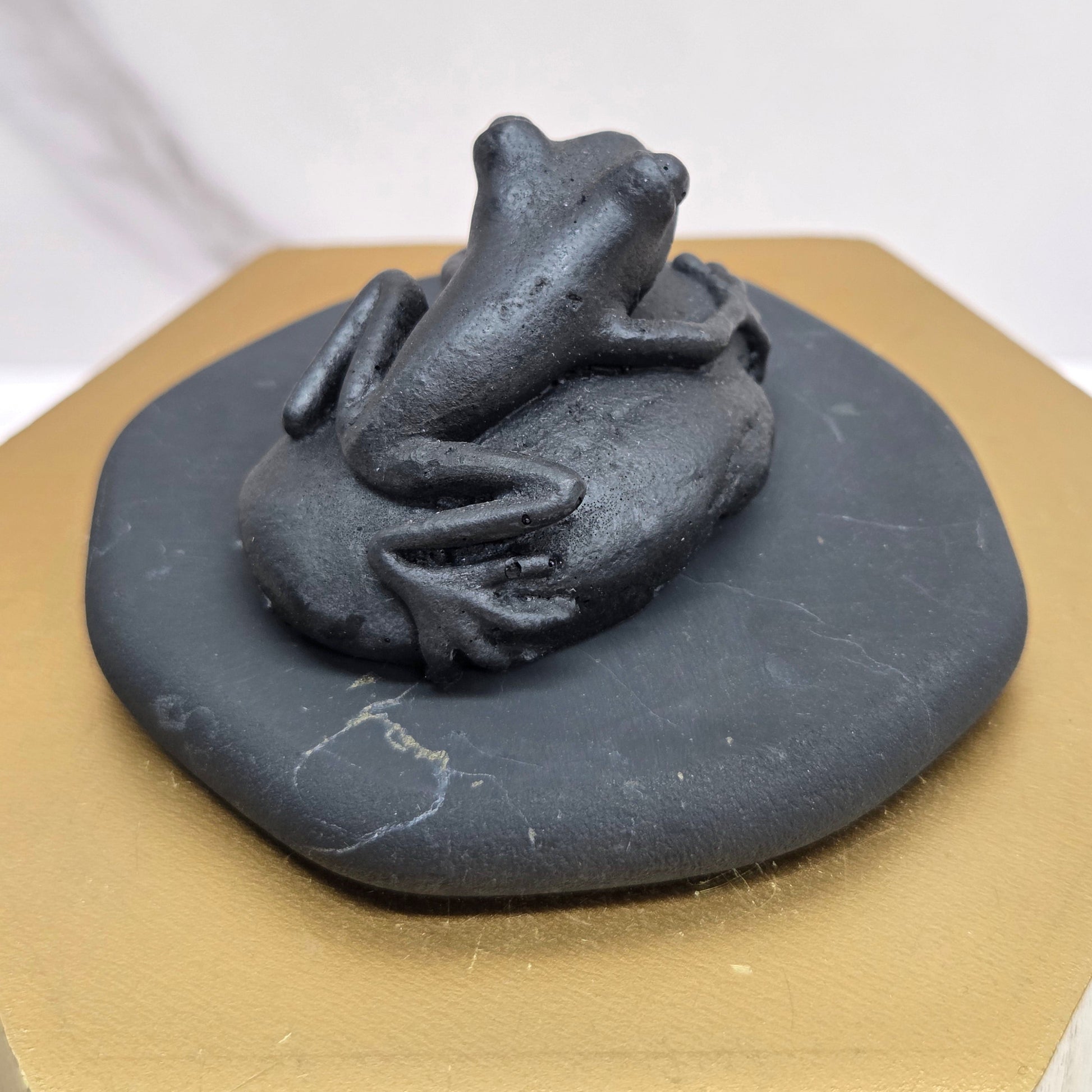 Black shungite frog carving sitting on a rock on a gold and white background