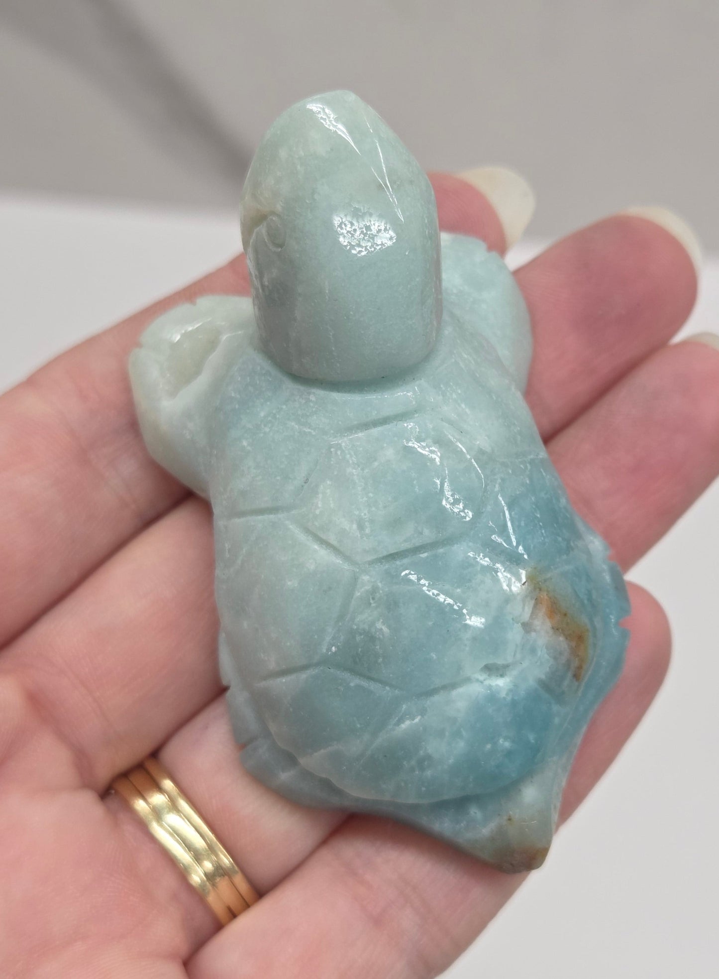 Hand holding a polished Caribbean Calcite crystal in the shape of a sea turtle, with blue and white colors and a light brown pattern.
