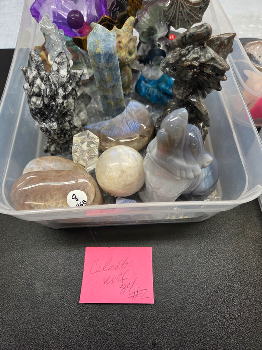 @Celestwolf84 invoice 1/19