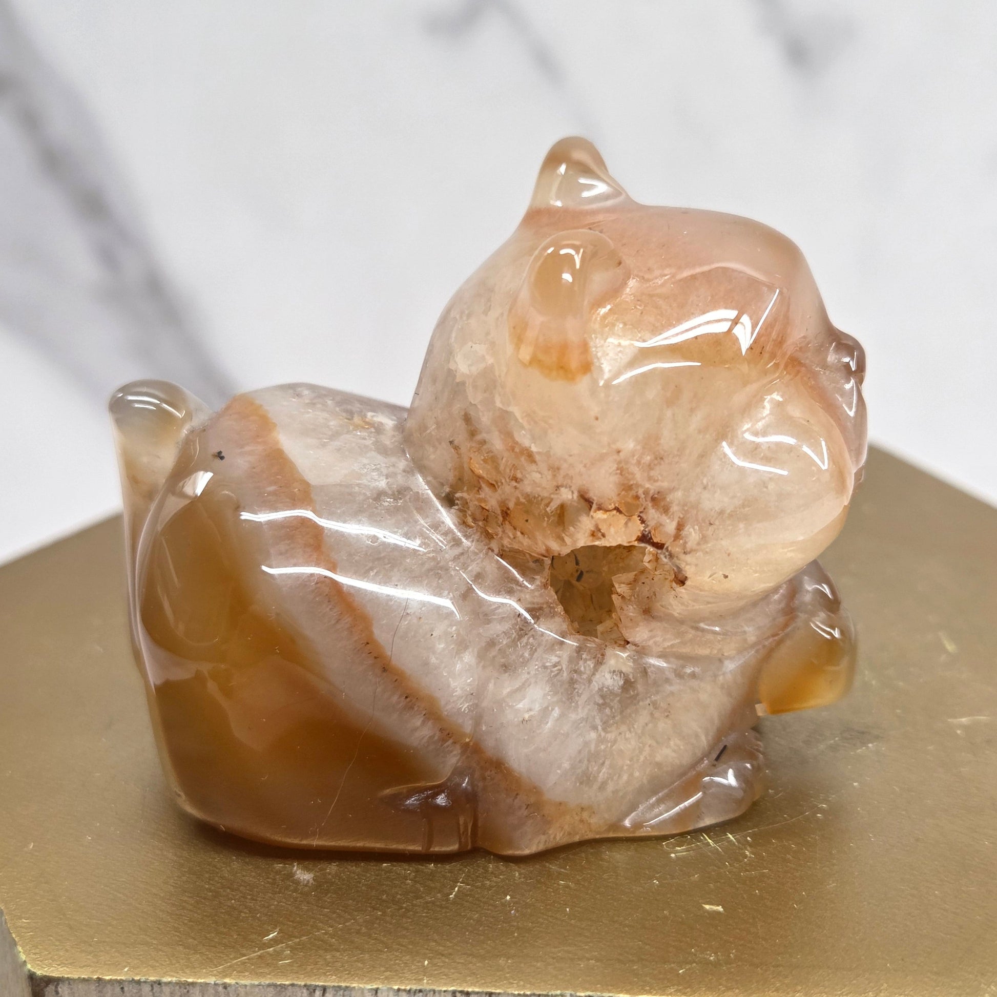 An Agate cat carving, with varying colors of orange, grey and white, on a wood stand against a white background