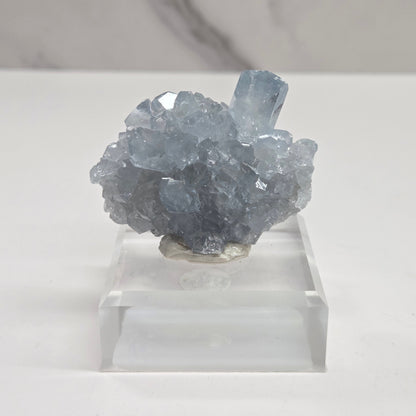 Blue Celestite crystal specimens with translucent blue crystals
