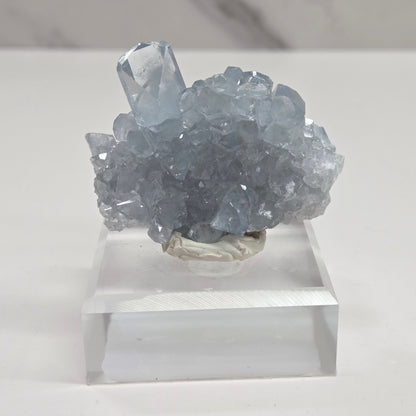 Blue Celestite crystal specimens with translucent blue crystals