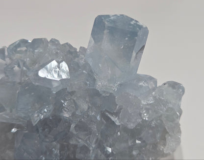 Close-up Blue Celestite crystal specimens with translucent blue crystals