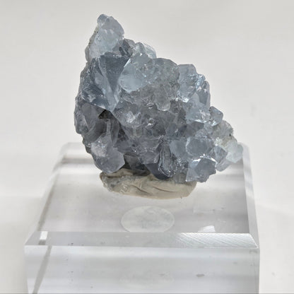Blue Celestite crystal specimens with translucent blue crystals
