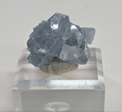 Blue Celestite crystal specimens with translucent blue crystals