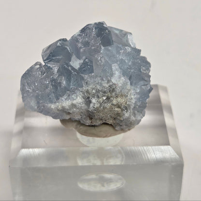 Blue Celestite crystal specimens with translucent blue crystals